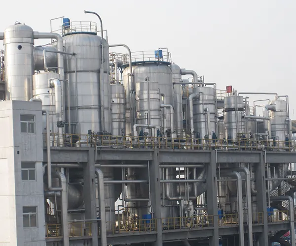 Rising Film Evaporator